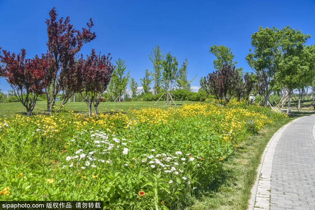 北京市的一处网红公园,不收门票的网红公园