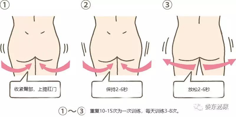 盆底肌训练可以改善尿频,盆底肌训练坏处