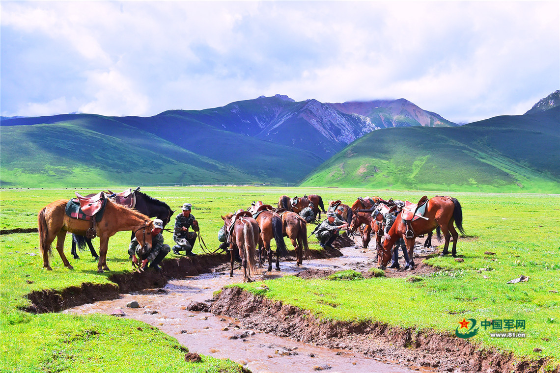 雪山见证，这是草原九班的“牧马青春”
