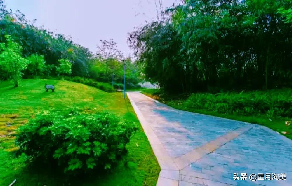 成都周边小众景点一日游,成都又一打卡网红地