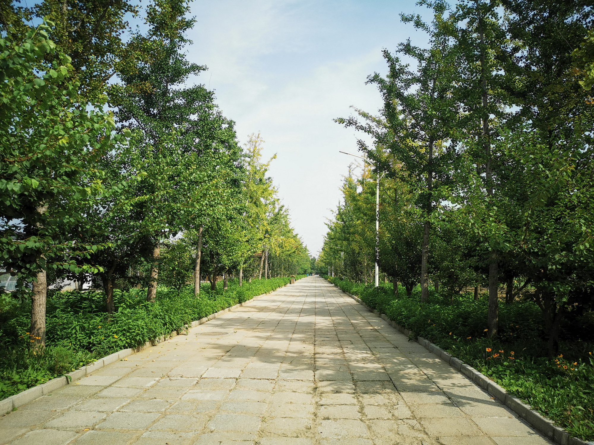 北京最大的温泉,北京最大的温泉是哪里