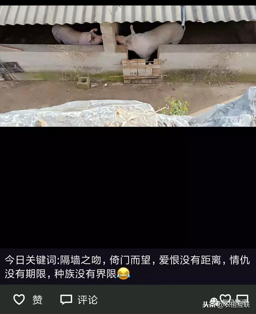 深度好文100个故事,深度好文复盘20年前