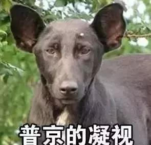 盘点10位欧美女星巅峰时期,那些老去的欧美女明星