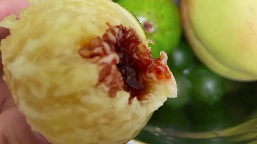 无花果病虫少,无花果怎么防虫蛀