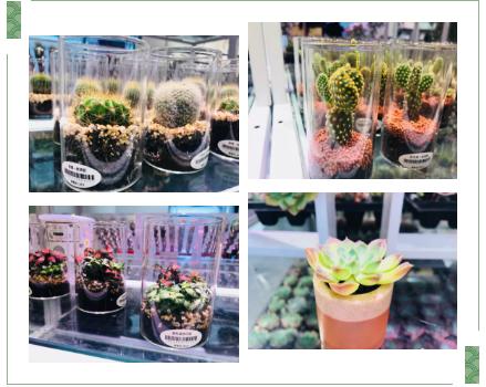 kkv探店打卡,kkv探店拍照