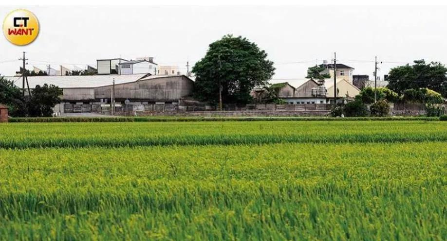 神秘富豪1200亿美元,台湾神秘富豪