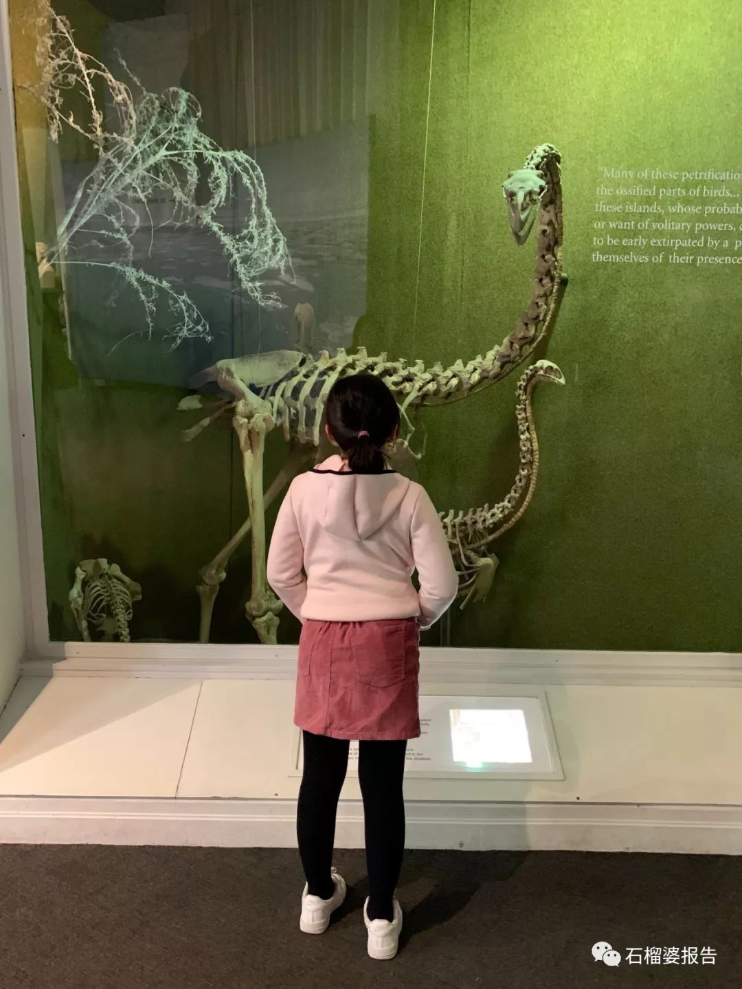 旅行7天,新西兰霍比特人村游记