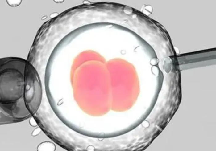 高端操作！医院人工授精太贵，英国单身妈妈自己操作，一次成功