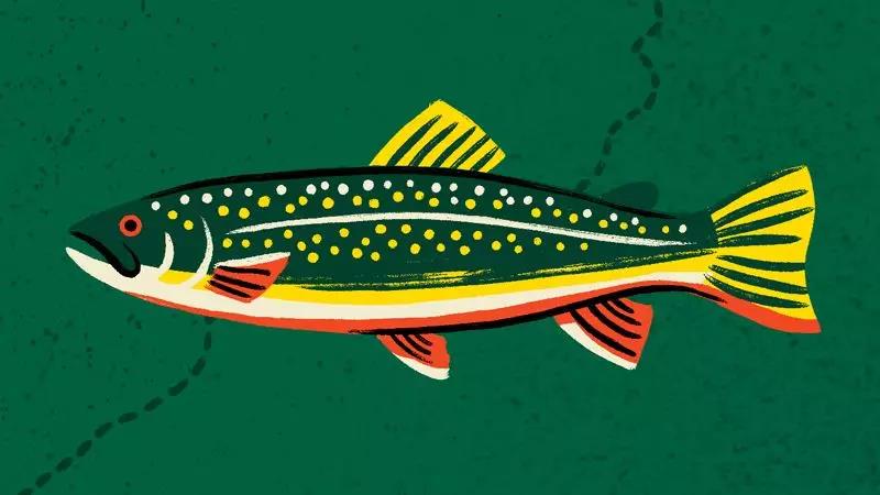 爱乐维复合维生素片被曝光,粉碎谣言爱乐维