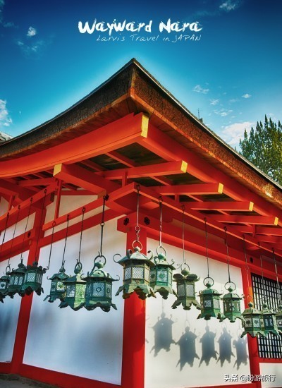 散步关西の日本深度自由行大阪都门奈良城崎、白滨温泉（上篇）