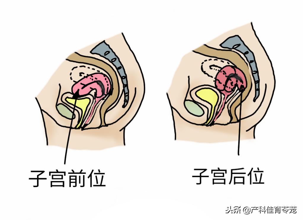 妇科b超是盆腔超声吗,妇科b超检查正常还需要做hpv吗