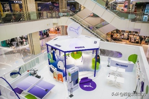 pumaroaringwild绯诲垪,pumaxroaringwild鑱斿悕