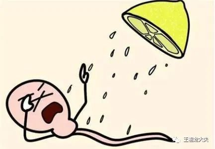 一篇文章让你秒懂精液分析报告单