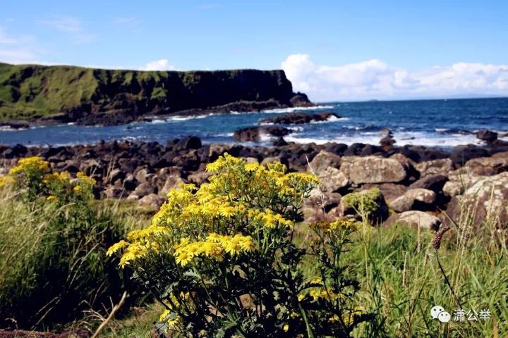 北爱尔兰巨人之路是怎样的,贝尔法斯特去巨人之路沿途风景