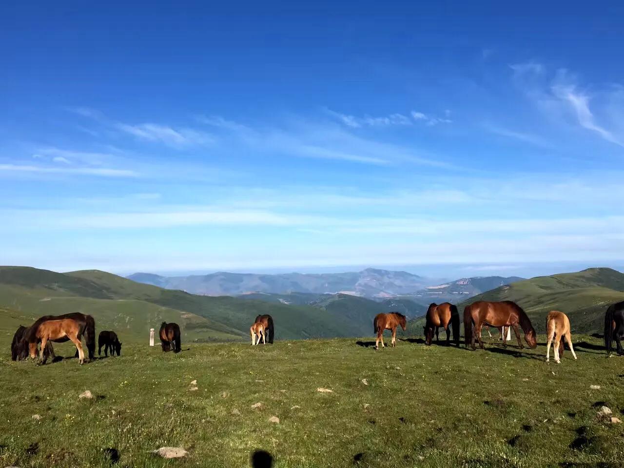 中国佛教四大名山之首五台山,五台山八大佛教名山