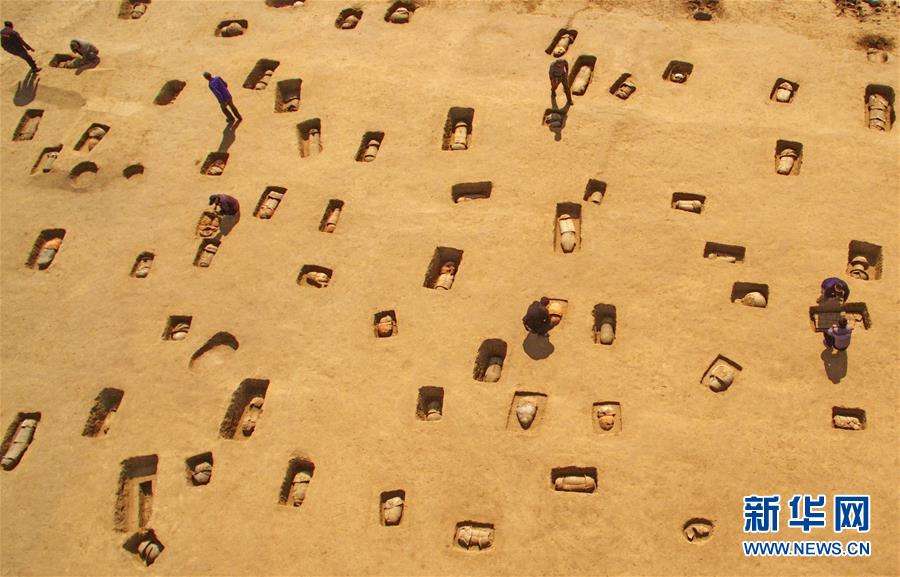 也许就是你把文化远播日本，初探黄骅古城--郛堤城