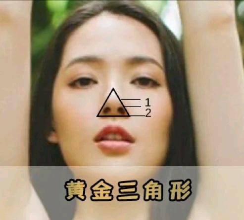 判断最好看的五官,判断鼻子类型