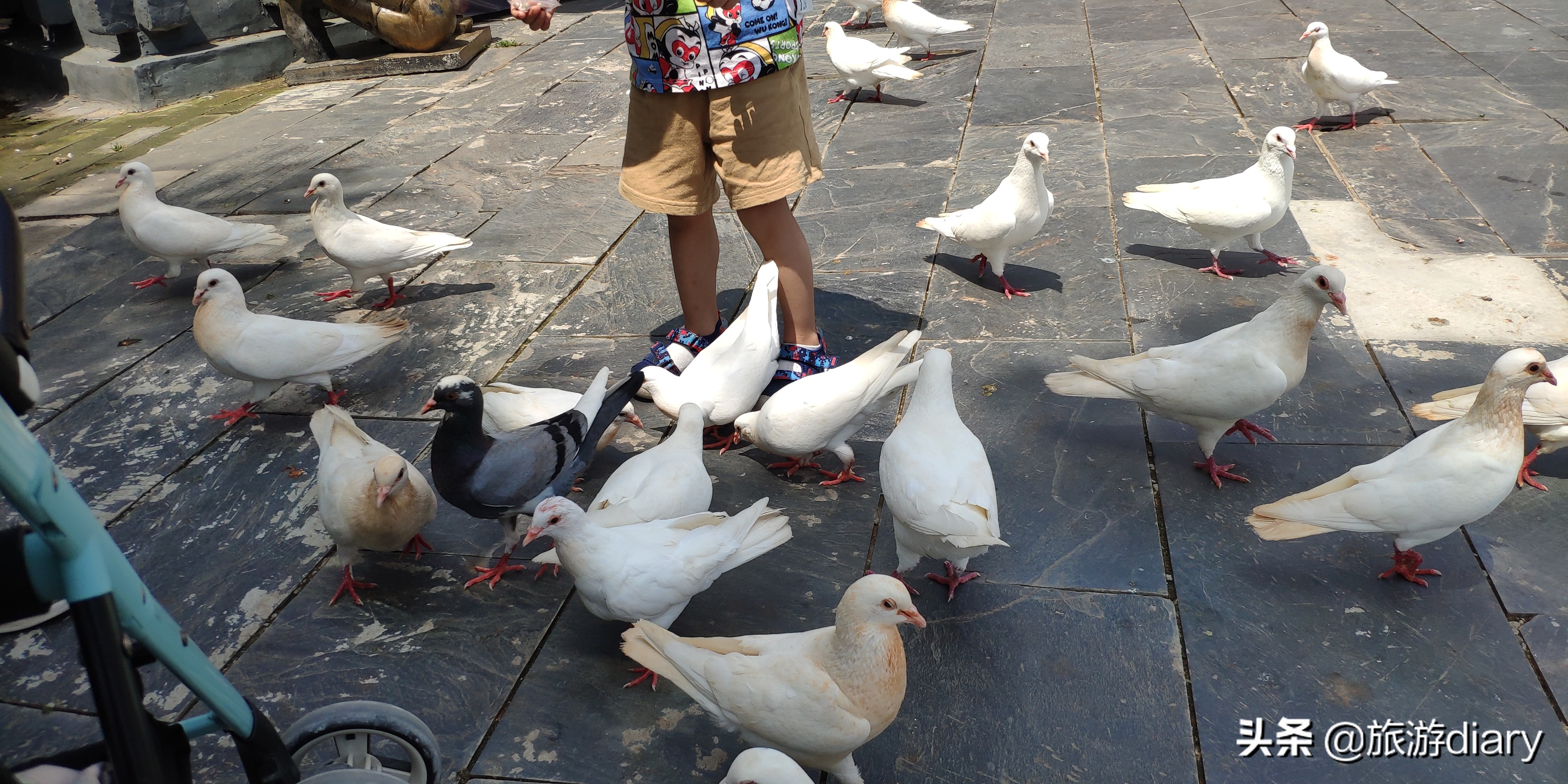 白鹿仓游乐场最刺激项目,白鹿仓儿童游乐场一日游