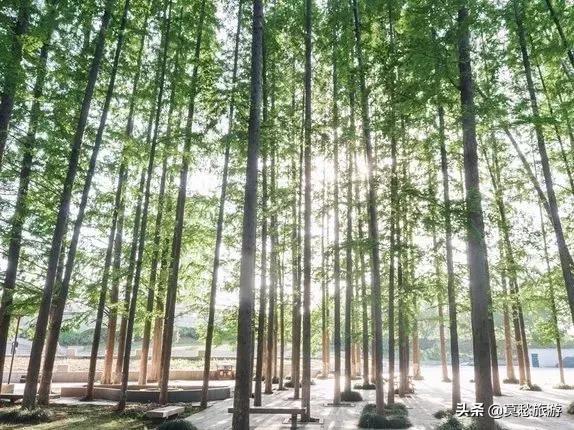 南京栖霞区免费游玩景点推荐,南京春节期间免费景点