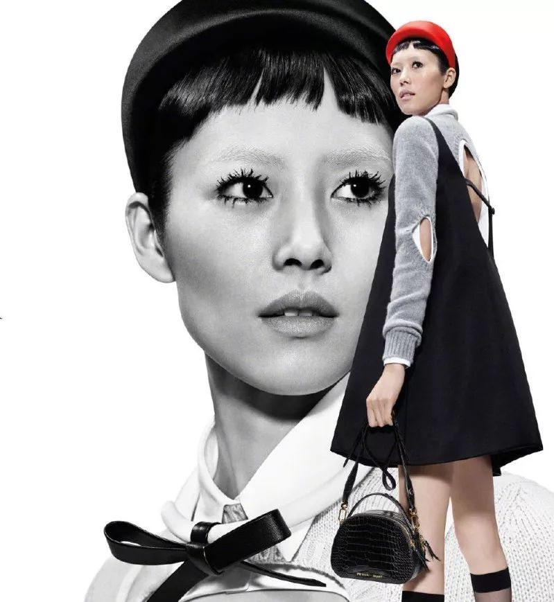 刘雯樱花紫色,刘雯拍过啥片