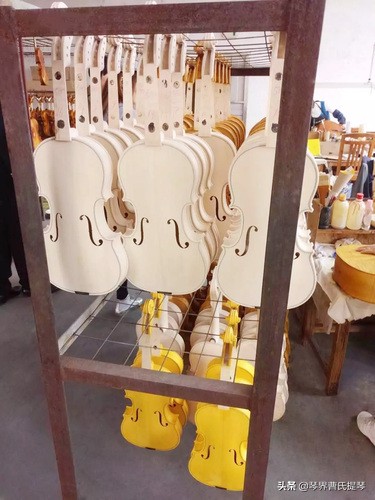 日本老师到中国,日本小提琴老师简介