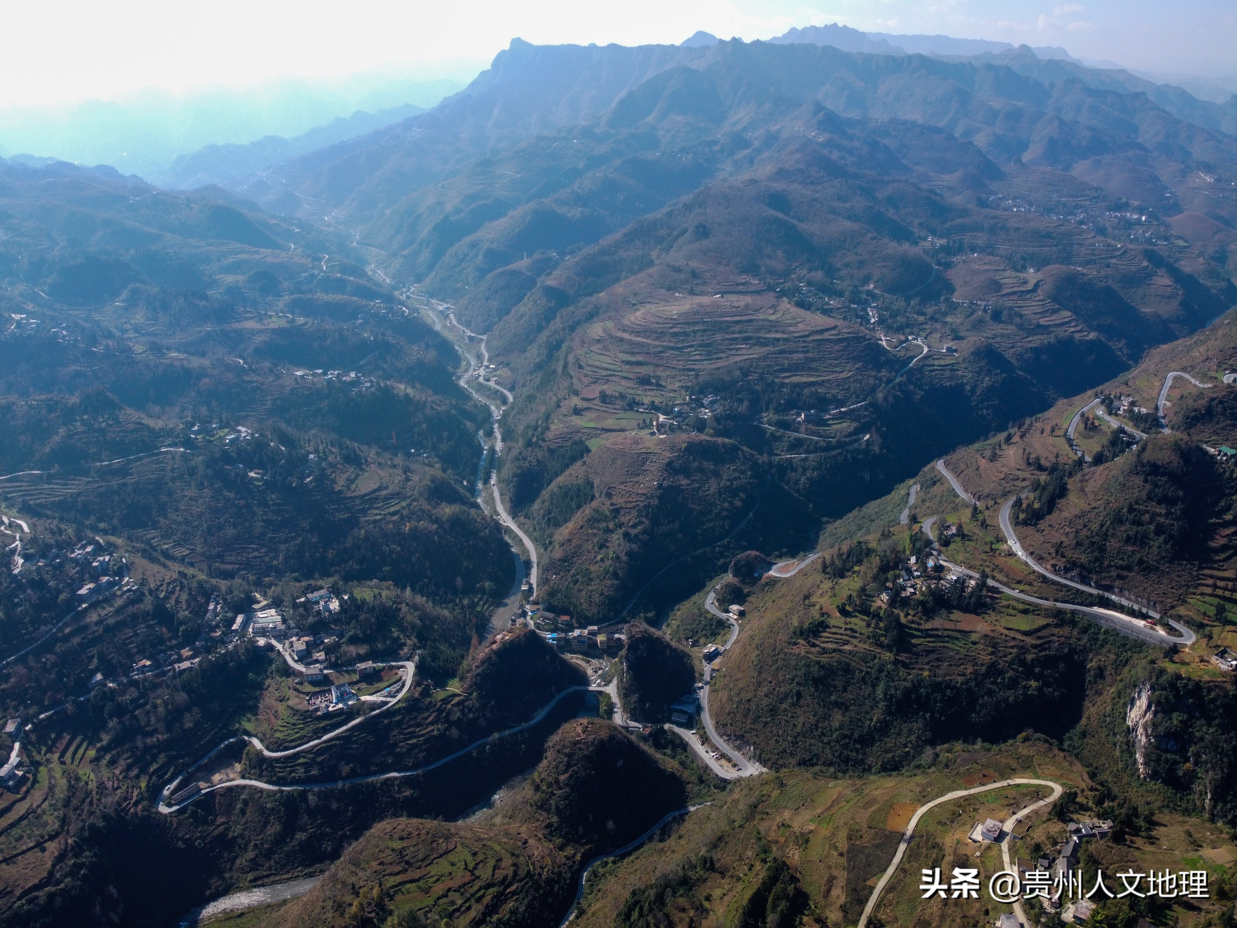 六旬老翁学养蜂网络直播卖蜂蜜年入近40万，取名小龙女