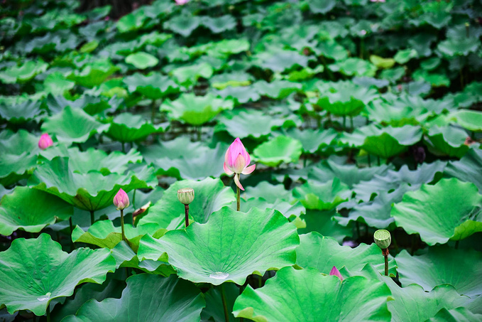 乌村暑期夏令营，吃喝玩乐在这里