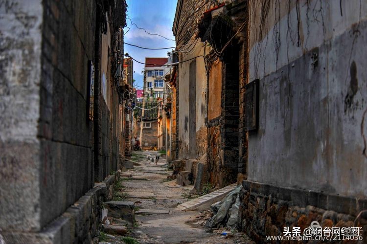 烟台所城里承载着多少回忆,烟台所城的来历