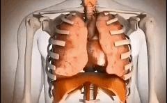 “内脏下垂、子宫脱落、漏尿……”:扒一扒你不知道的网红束腰