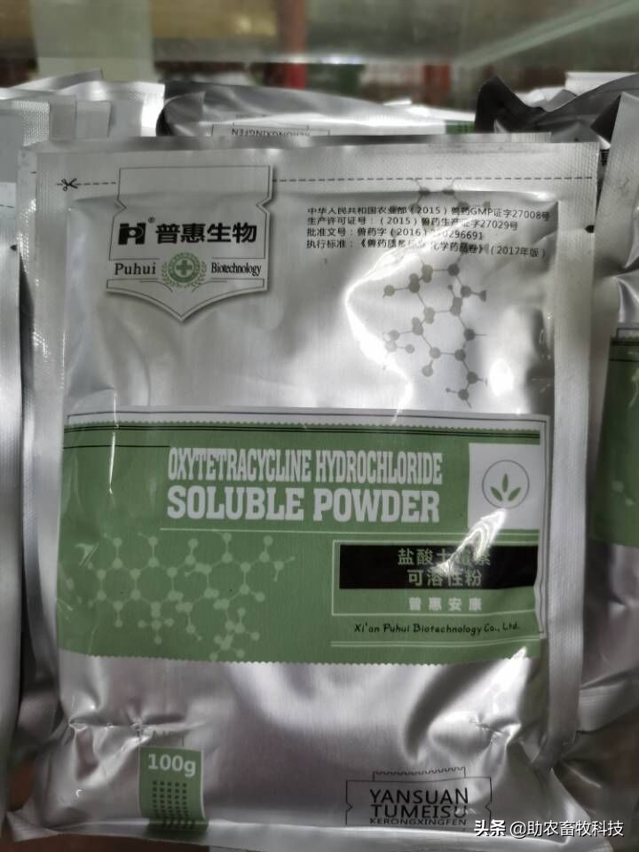 鸡脑脊髓炎的症状图片,鸡得了脑脊髓炎还能吃吗