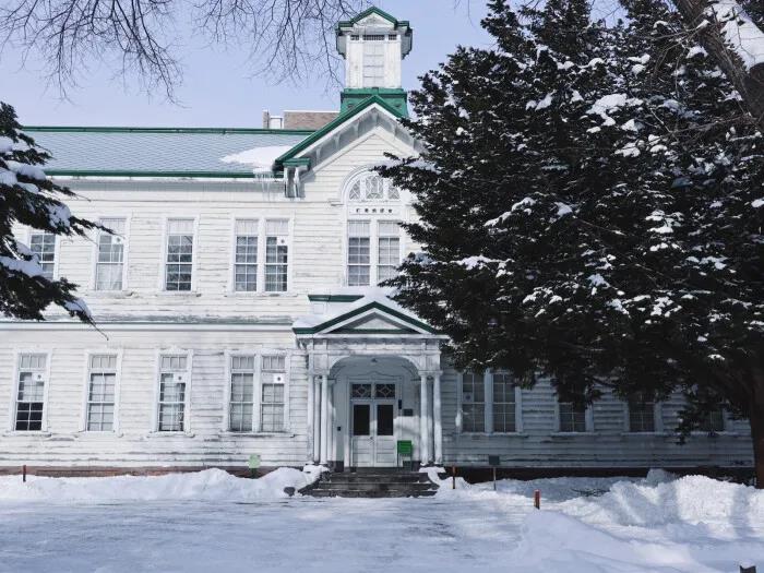 想进联合国可以选什么专业,读什么专业可以进入联合国