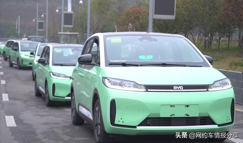 滴滴d1申请,滴滴d1怎么预约