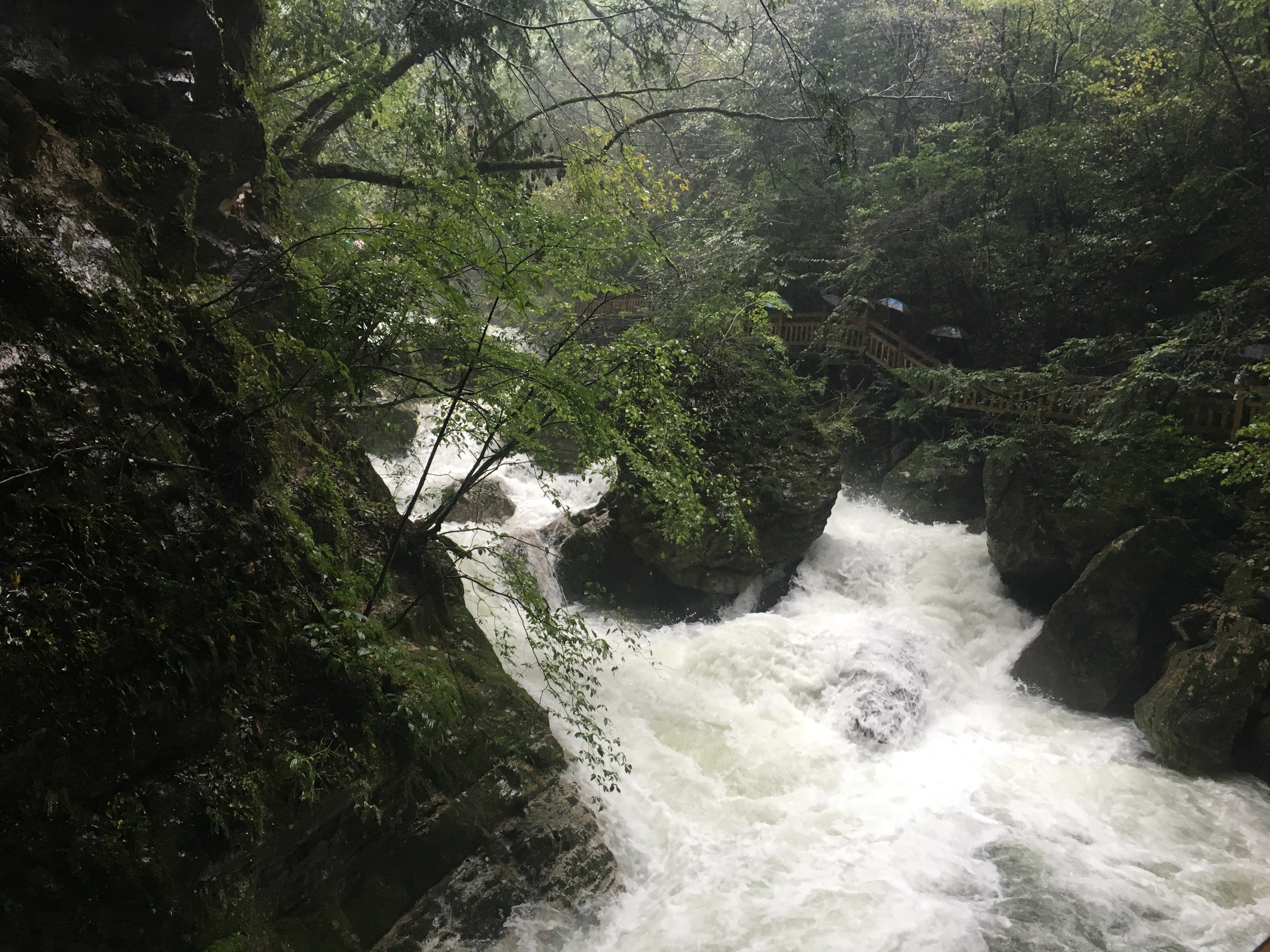 雨中神农架探秘之旅｜国庆节武汉至神农架自驾游攻略分享