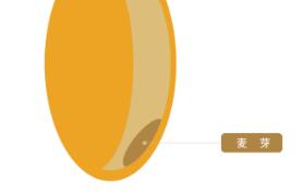 日本小麦粉的种类,日式强力粉与日式法式粉区别