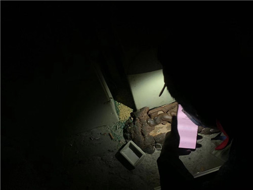 灭鼠驱鼠好方法,灭鼠小妙招视频