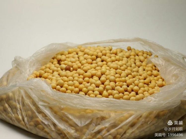 韩国兴森妈妈制作大酱,妈妈的大酱汤原唱