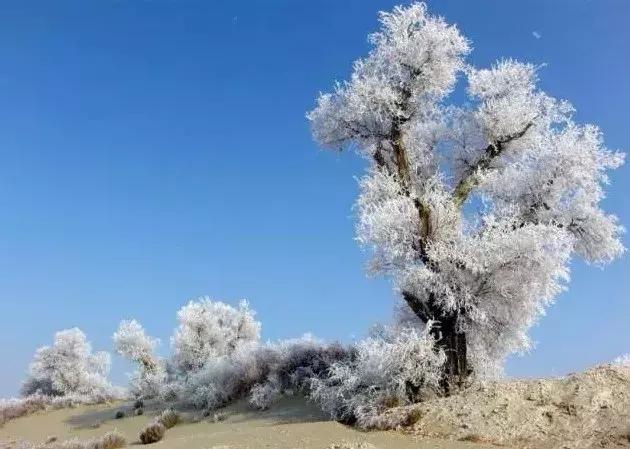 雾凇之美宛若仙境,连云港花果山雾凇美得像仙境