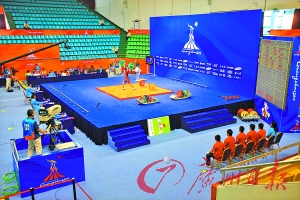 运动场沙坑尺寸多少合适,各种运动场尺寸对照表