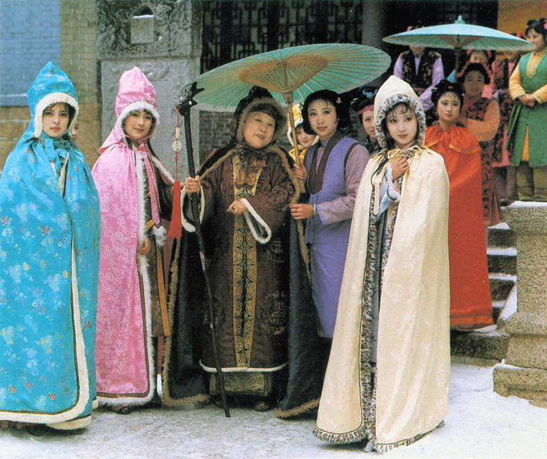 红楼梦中有脏话怎么理解,红楼梦里面的讽刺