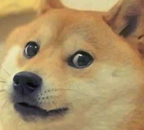 “线”上买家!因疫情边境关闭,男子用钓竿跨境买面包