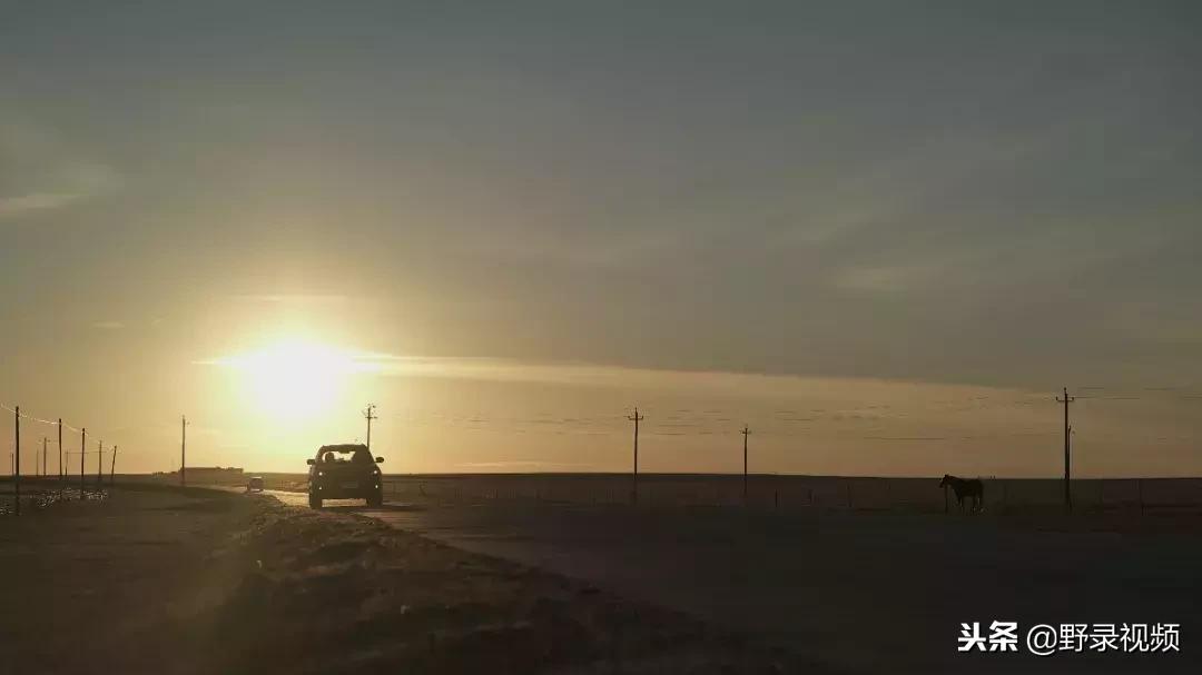 敖鲁古雅原始部落驯鹿喂草,敖鲁古雅驯鹿旅行