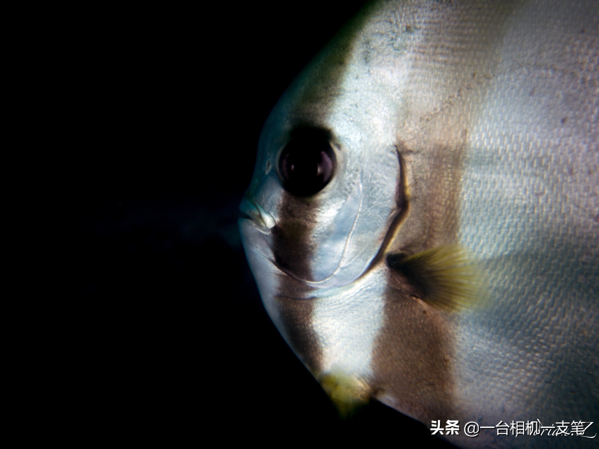 马来西亚小众海岛,马来西亚适合隐居的海岛