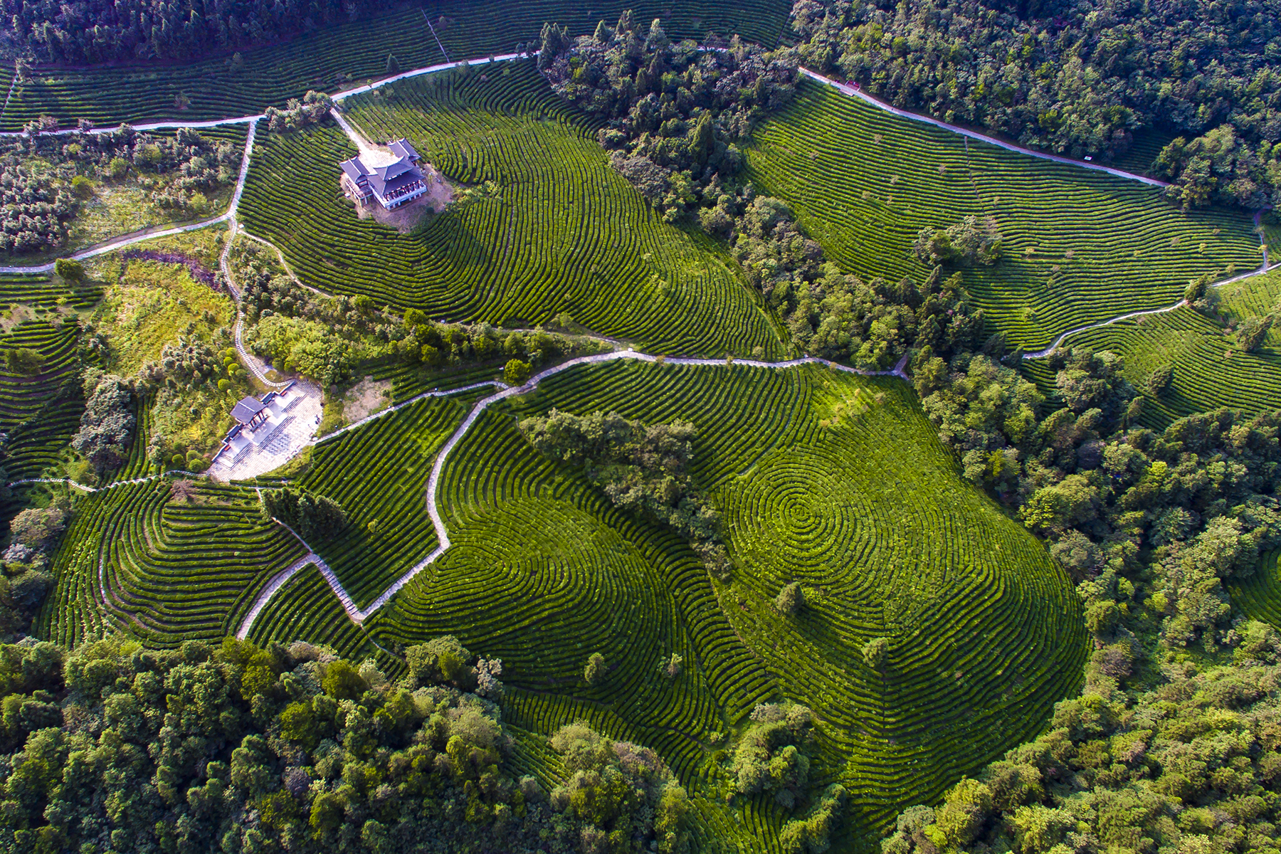 重庆正在建设的新景区,重庆新打卡景区有哪些