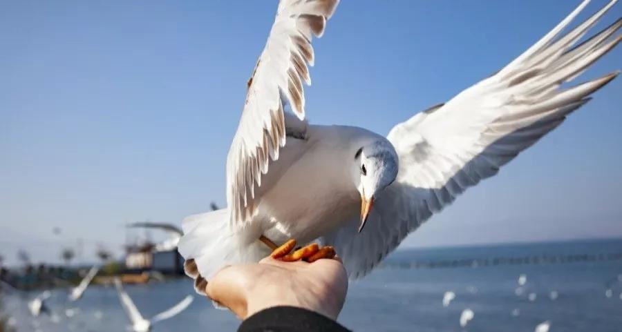 跨境电商怎么样,跨境电商怎么样赚钱