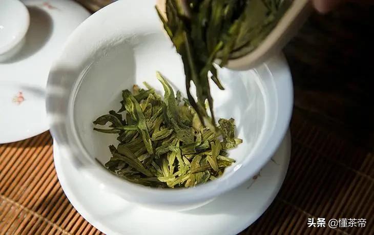 袁枚细品武夷茶,岩茶和龙井有什么特点