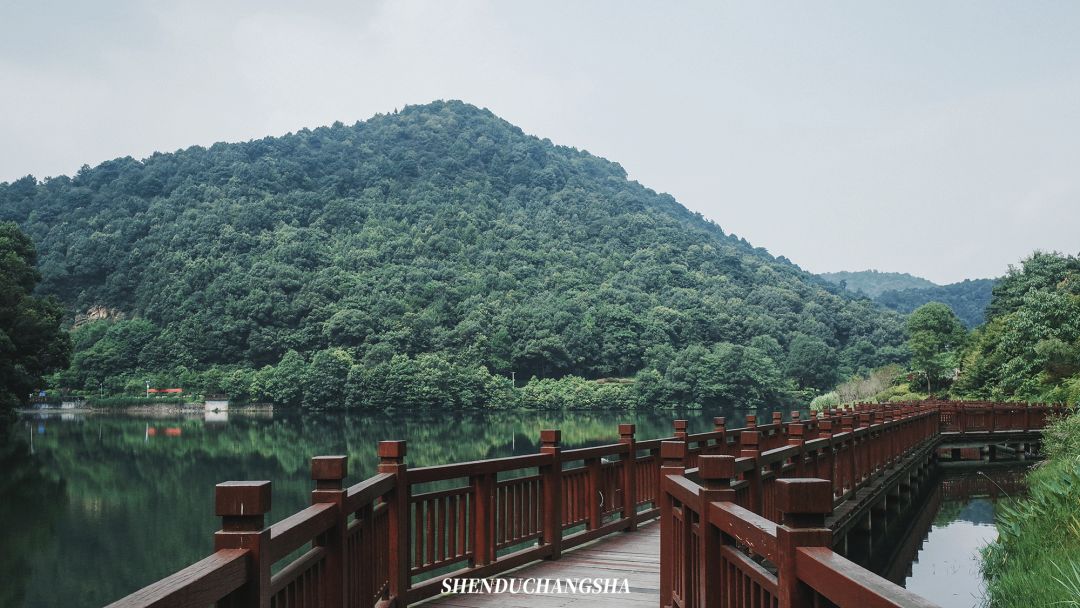 长沙旅游攻略必去的十大景点推荐,长沙旅游攻略必去十大景点免费