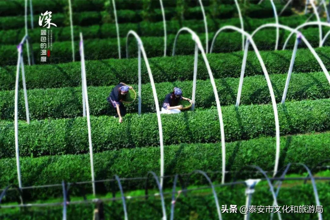 马上过年了买点北方的特产,快过年了有什么东西送给家人