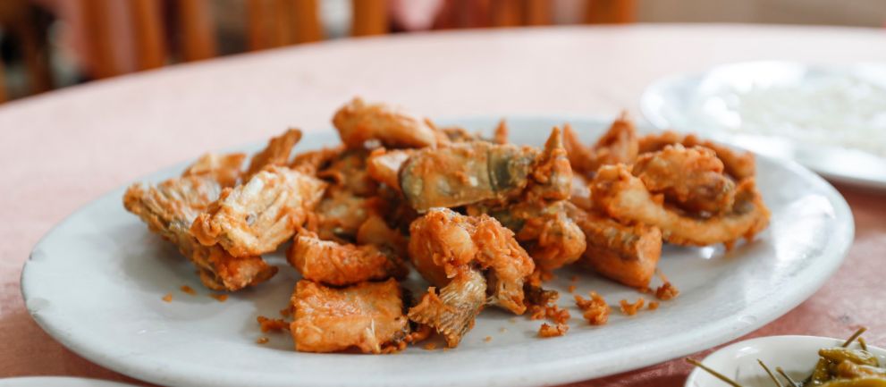 鱼儿食欲怎么样,鱼儿是怎么吃东西