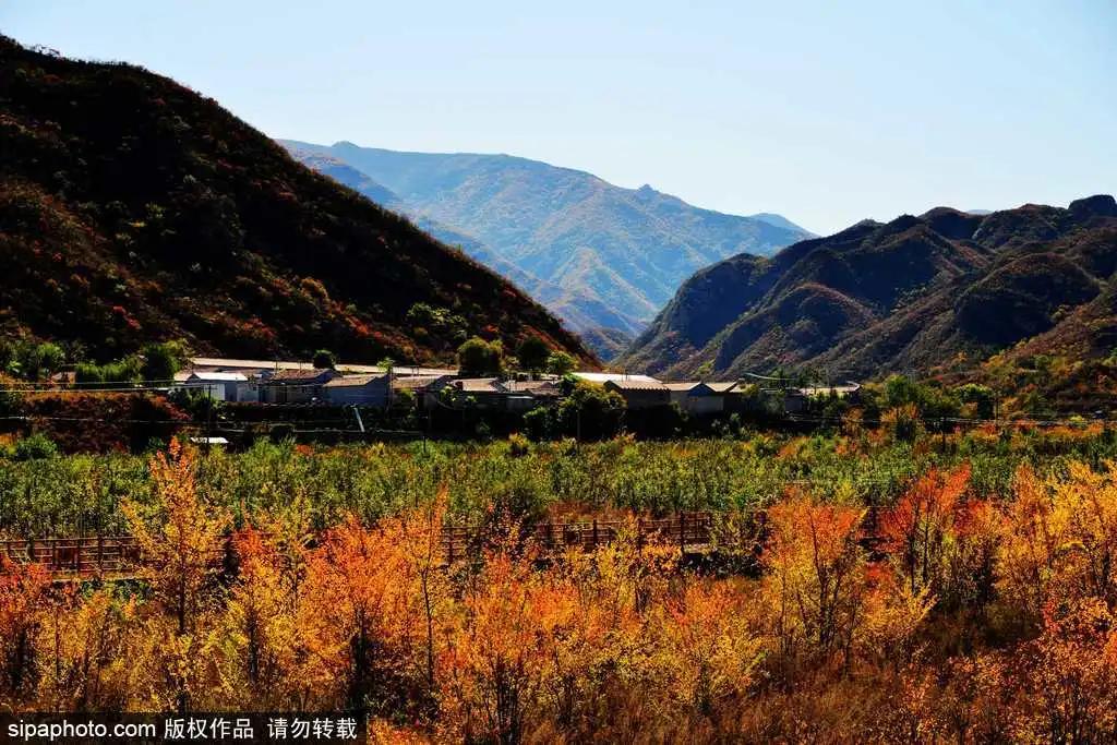 安排一日游攻略,安排旅游必去景点