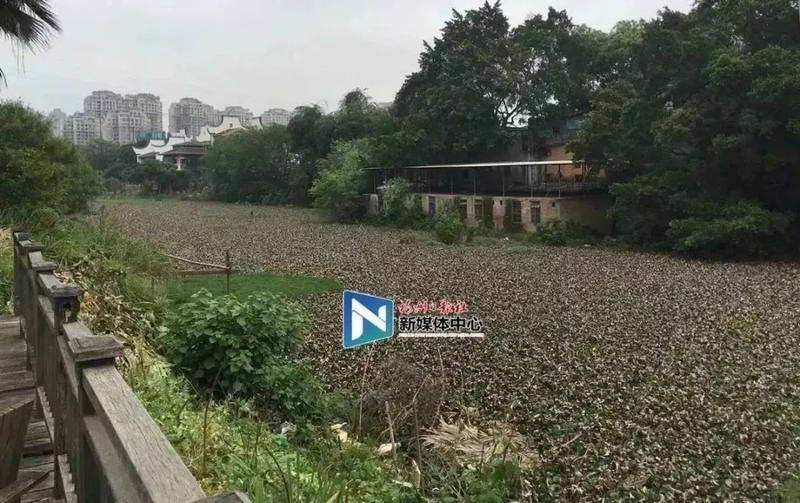 仓山哪里的,现在的仓山